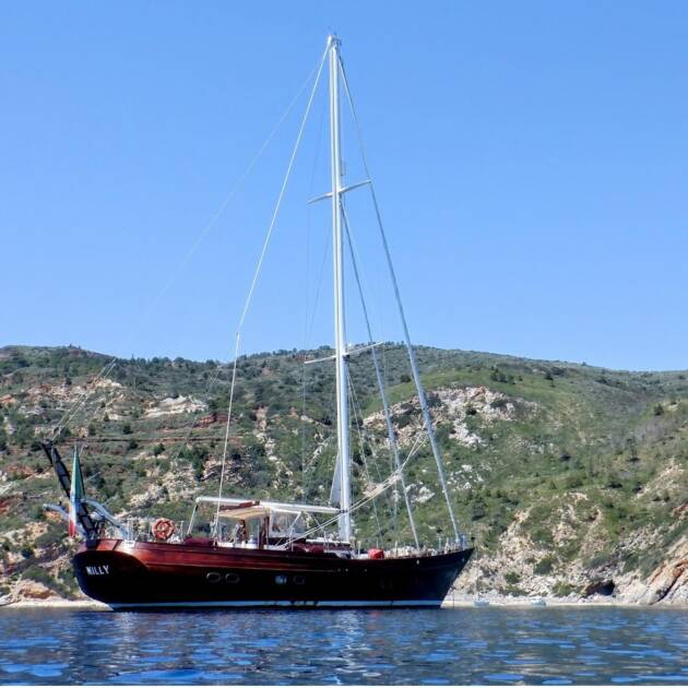 Sailing day trips to the Island of Elba